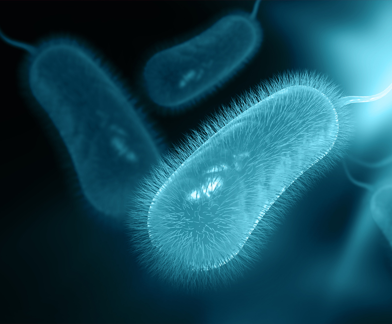 Ελικοβακτηρίδιο του Πυλωρού (Helicobacter pylori): ένα σύντομο «βιογραφικό»