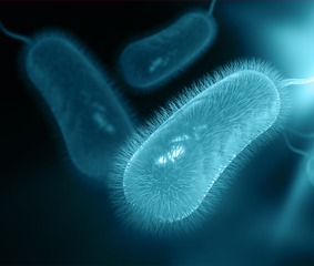 Ελικοβακτηρίδιο του Πυλωρού (Helicobacter pylori): ένα σύντομο «βιογραφικό»